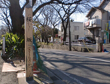 新事務所のそばには、桜坂