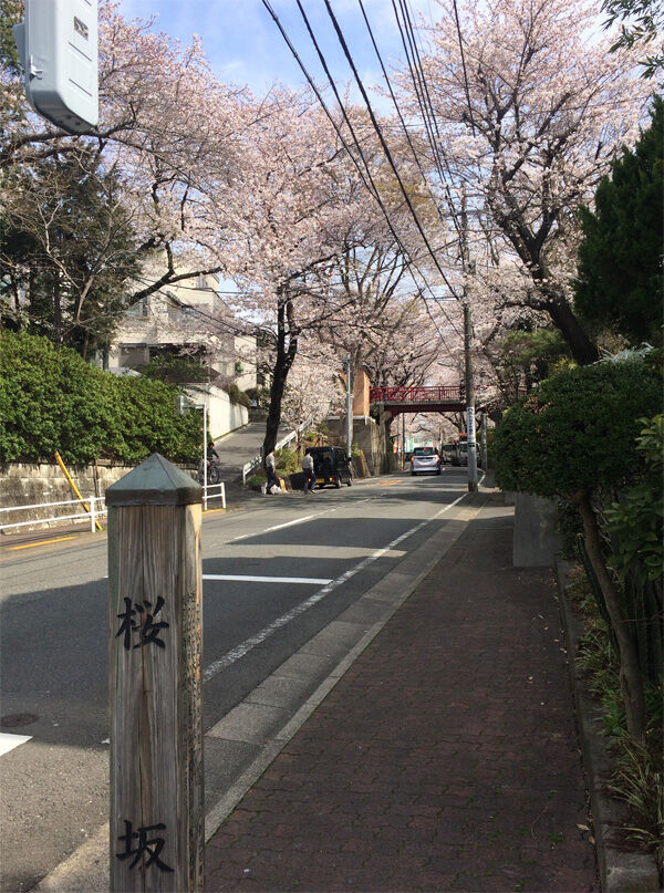 桜坂＠3/27