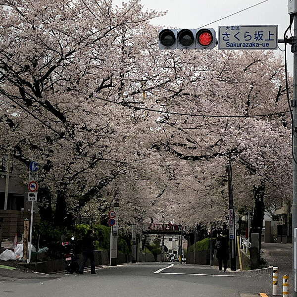 無事に乗り切りたいですね