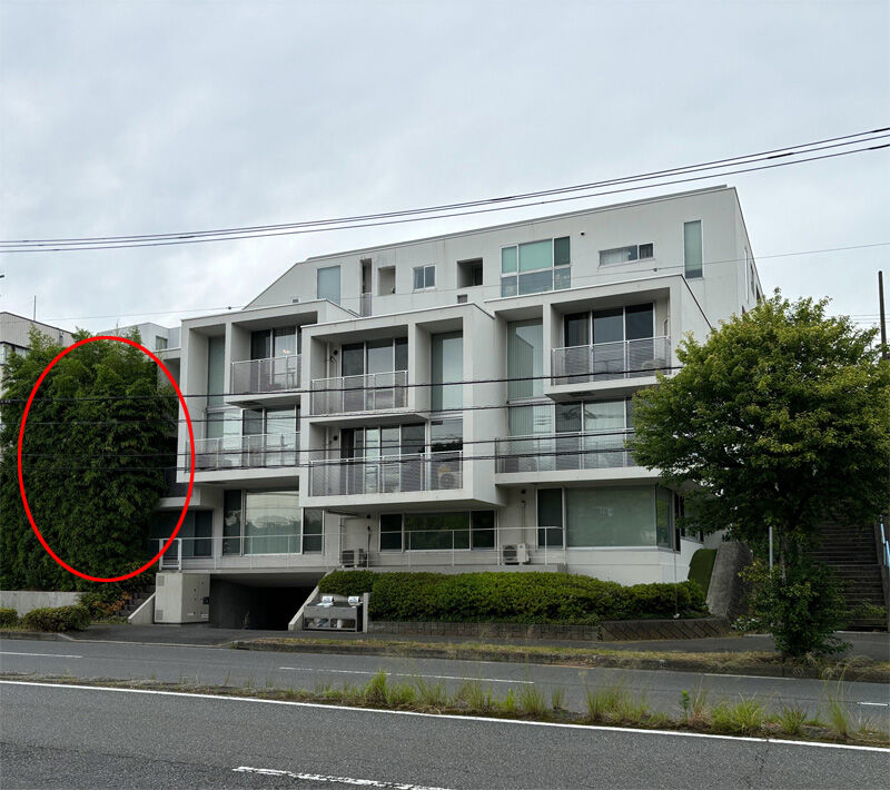 集合住宅　共生